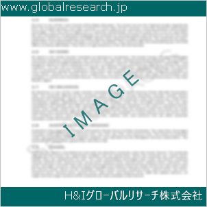 グローバルリサーチ調査資料のイメージ